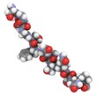 deamidated gluten peptide allergen.