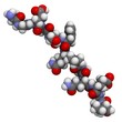 deamidated gluten peptide allergen.