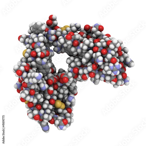 Illustration: alpha-cobratoxin molecule of Naja kaouthia cobra. alpha-cobratoxin molecule of Naja kaouthia cobra.