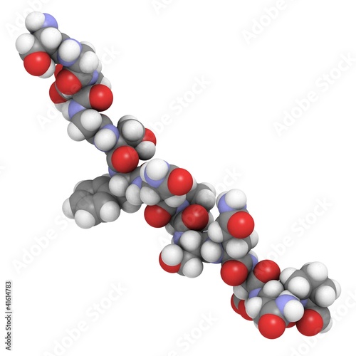 Illustration: deamidated gluten peptide allergen. deamidated gluten peptide allergen.