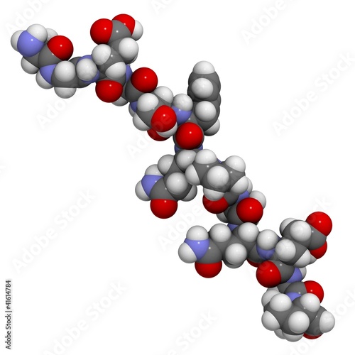 Illustration: deamidated gluten peptide allergen. deamidated gluten peptide allergen.