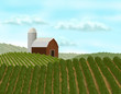 Barn Landscape