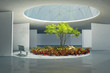 plants in interior plants in interior