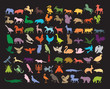 Big variety of animals. Big variety of animals.