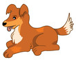puppy dog