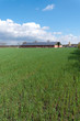 farm with solar panels farm with solar panels