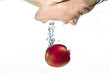 Girl plunges in for the apple.