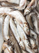 Fish in ice at the market Fish in ice at the market