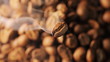 Coffee beans with focus on one Coffee beans with focus on one