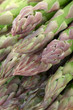 Asparagus background Asparagus background
