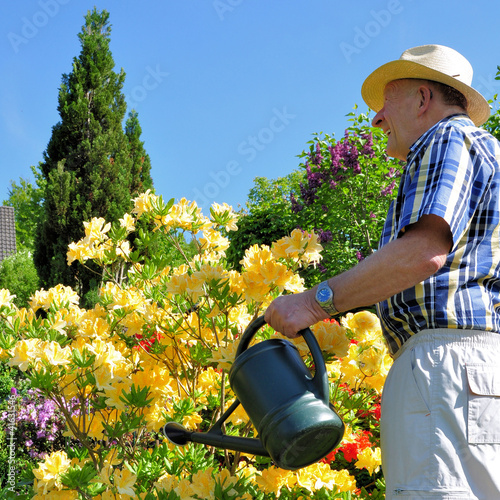 Photo: Blumen gießen im Garten Blumen gießen im Garten