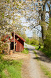 Country road.