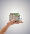 House in hands