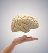 Brain in hand