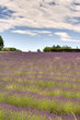 Provence