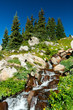 Waterfall And Wildflowers Land... Waterfall And Wildflowers Land...