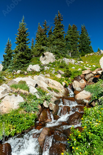 Photo: Waterfall and Wildflowers Landscape Waterfall and Wildflowers Landscape
