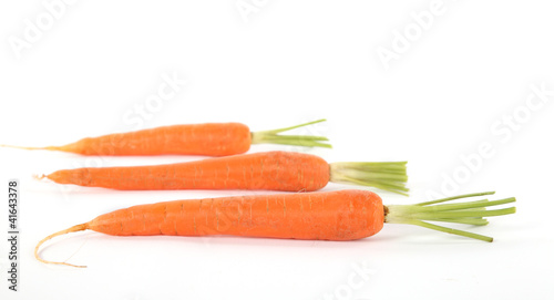 Photo: carottes carottes
