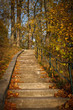 Treppe mit Herbstlaub