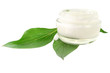 Cream Skin Care cosmetic bio natural on white background