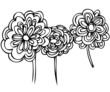 a sketch of plants is three abstract flowering flowers