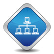 NETWORK ICON