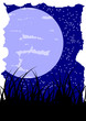 moon over meadow, night sky moon over meadow, night sky