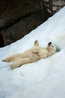 Photo: Enjoyment Enjoyment
