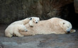 Mom and kids