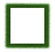 frame grass frame grass