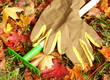 rake and gloves