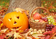 Photo: autumn autumn