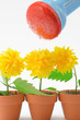 Foto: Blumen giessen Blumen giessen