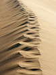 Foto: Footprints in Sand Footprints in Sand