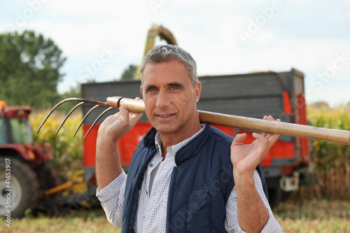 Foto: Time to harvest Time to harvest
