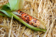 Fresh Decorative Indian Corn