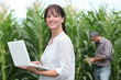 Woman using her laptop in a field of crops