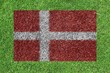 Denmark flag as a paining on green grass