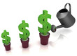 sign of dollar, growing in a flowerpot