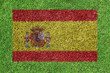 Flag Spain as a painting on green grass