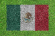 Flag Mexico as a painting on green grass