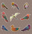 bird stickers