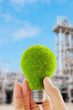 eco light bulb concept