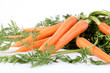 carottes