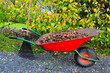 Raking autumn foliage