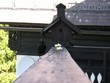 Krähenbesuch beim Vogelhaus