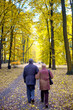 Senior couple in the park