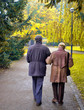 Senior couple in the park