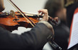 violinist violinist