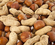 nuts